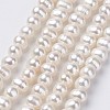 Natural Cultured Freshwater Pearl Beads Strands PEAR-D187-08-1