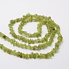 Grade A Natural Peridot Chip Bead Strands X-G-M298-05-2