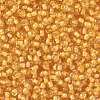 TOHO 8/0 Round Beads X-SEED-TR08-0949-2