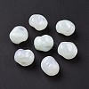 Opaque Acrylic Beads OACR-C013-10G-3