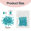 Picasso Glass Seed Beads SEED-TADJ0001-05D-3