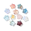 Transparent Smooth and Frosted Glass Beads GLAA-O023-19-2