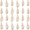 30Pcs Electroplated Spiral Shell Pendants SSHEL-SC0001-29B-1