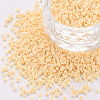 Glass Cylinder Beads SEED-S047-A-021-1