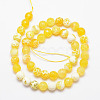 Natural Fire Crackle Agate Bead Strands X-G-K166-07F-6mm-07-2