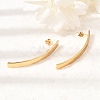 201 Stainless Steel Stud Earrings SA-CBA4A0D-09G-2