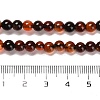 Natural Carnelian Beads Strands G-B079-A03-01-5