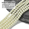 Eco-Friendly Dyed Glass Pearl Round Beads Strands HY-A008-6mm-RB011-4