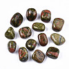Natural Unakite Beads G-N332-013-1