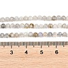Natural Labradorite Beads Strands G-RM250104-A1-3