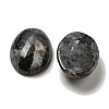 Natural Larvikite Cabochons G-C115-01A-40-2