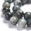 Natural Eagle Eye Beads Strands G-I281-02-4mm-6