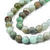 Natural Chrysoprase Beads Strands G-S333-4mm-016-3