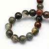 Natural African Bloodstone Beads Strands G-S184-10mm-2