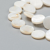 Natural Freshwater Shell Beads BSHE-I011-01E-02-3