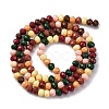 Baking Paint Glass Beads Strands LAMP-R020-03B-2
