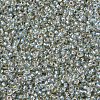 MIYUKI Round Rocailles Beads SEED-G007-RR3192-3