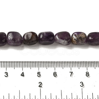 Natural Amethyst Beads Strands G-B078-A01-01-1