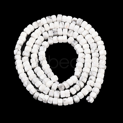 Natural Howlite Beads Strands G-G345-C01-2x4mm-1