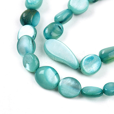 Natural White Shell Beads Strands SHEL-N036-21C-1