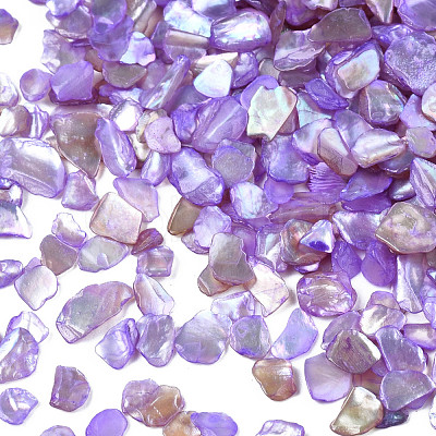 Natural Freshwater Shell Slices MRMJ-N026-003-07-1