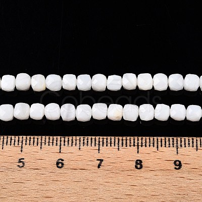 Natural White Shell Beads Strands SSHEL-N038-60-1