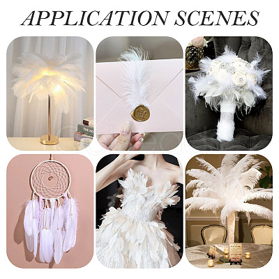 20Pcs 2 Styles Ostrich Feather Costume Accessories FIND-TA0005-96-1