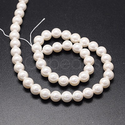 Shell Pearl Beads Strands X-BSHE-E008-8mm-12-1