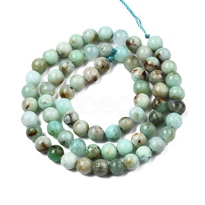 Natural Chrysoprase Beads Strands G-S333-6mm-016-1