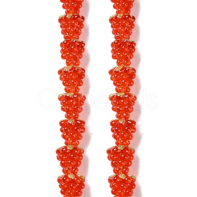 Handmade Lampwork Beads Strands LAMP-Q036-05B-1