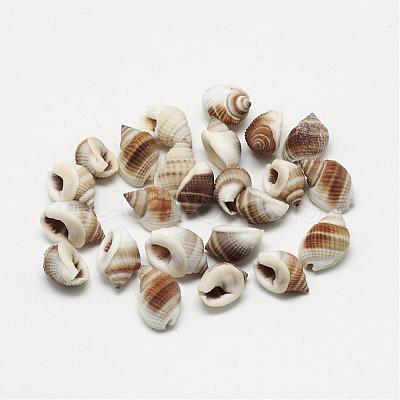 Natural Spiral Shell Beads BSHE-S613-02-1