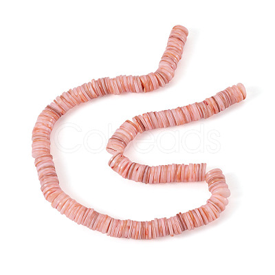 1 Strand Natural Freshwater Shell Beads Strands SHEL-TA0001-35B-1