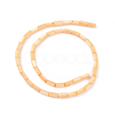 Natural Freshwater Shell Dyed Beads Strands SHEL-M018-11-1