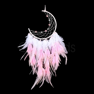 Iron Woven Web/Net with Feather Pendant Decorations AJEW-P097-02-1