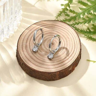 304 Stainless Steel Micro Pave Cubic Zirconia Hoop Earrings STAS-R004-02P-02-1