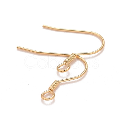 304 Stainless Steel Earrings Hooks X-STAS-P227-06G-1