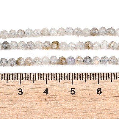 Natural Labradorite Beads Strands G-RM250104-A1-1