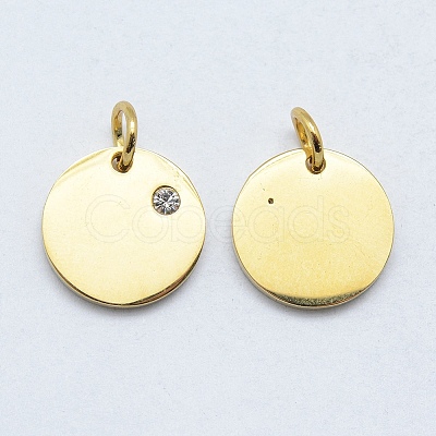 316 Surgical Stainless Steel Pendants X-STAS-K178-06G-1