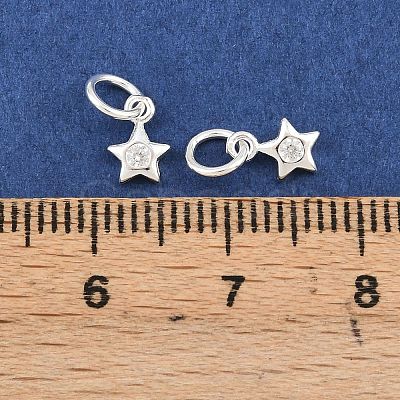 925 Sterling Silver Pave Clear Cubic Zirconia Charms STER-A049-08D-S-1