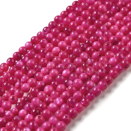 Natural Freshwater Shell Beads Strands SHEL-H003-03F-1