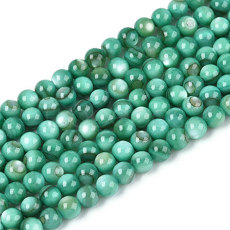 Natural Freshwater Shell Beads Strands BSHE-T009A-01J-1