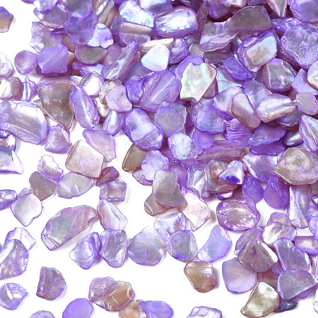 Natural Freshwater Shell Slices MRMJ-N026-003-07-1