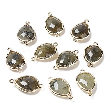 Natural Labradorite Links connectors G-L514-015F-1