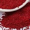 MIYUKI Round Rocailles Beads X-SEED-G009-RR0408-1