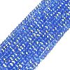 Electroplate Glass Beads Strands GL-CBAA615-03H-1