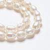 Natural Cultured Freshwater Pearl Strands A23WM011-01-3