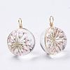 Glass Pendants X-GLAA-Q070-002B-04-2