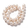 Natural Cultured Freshwater Pearl Beads Strands PEAR-L033-93-3
