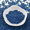 Baking Paint Glass Seed Beads SEED-S042-05B-75-2