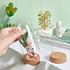 Glass Dome Cover AJEW-PH0004-19B-3
